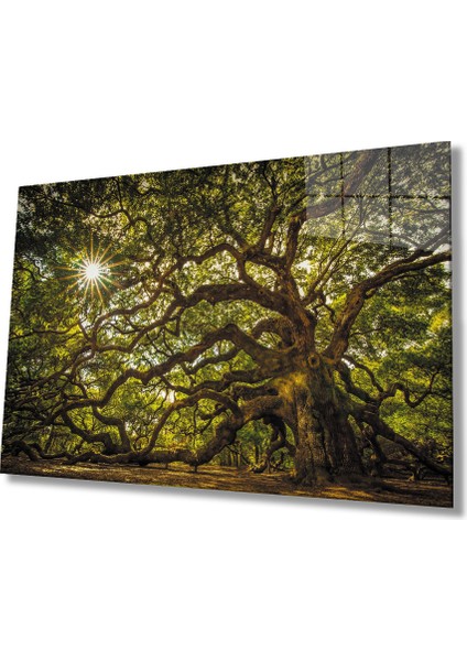 Ağaç Orman Güneş Yeşil Cam Tablo 36X23-MIYREM