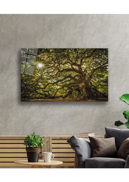 Ağaç Orman Güneş Yeşil Cam Tablo 36X23-MIYREM fiyatları