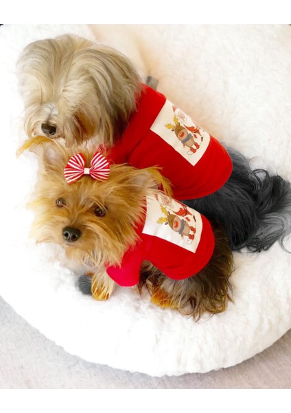 Santa And Friend Rudolph Köpek Tişörtü Yılbaşı Noel Christmas Köpek Elbisesi modelleri