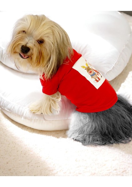 Santa And Friend Rudolph Köpek Tişörtü Yılbaşı Noel Christmas Köpek Elbisesi indirimleri