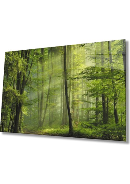 Ağaç Yeşil Orman Cam Tablo 36X23-MIYREM