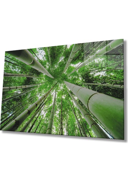 Aşağıdan Yukarı Orman Yeşil Cam Tablo 36X23-MIYREM
