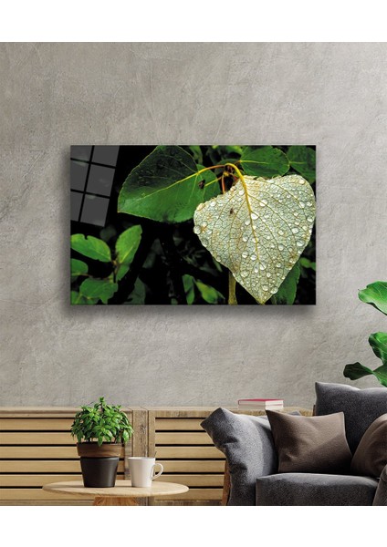 Su Damlası Yeşil Yaprak Cam TABLOMIYREM36X23-MIYREM