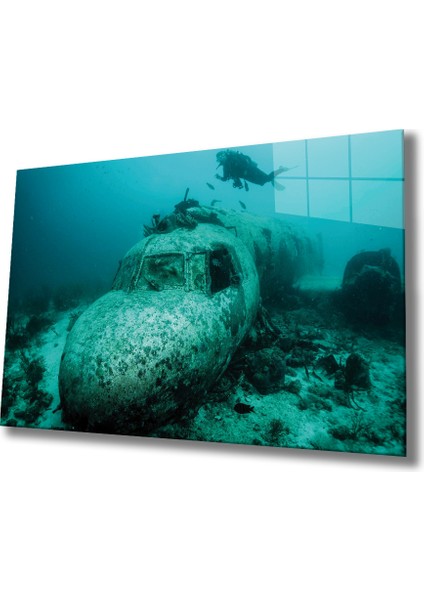 Sualtı Cam Tablo Marine Life 36X23-MIYREM