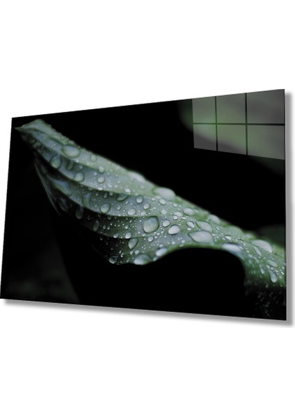 Su Damlası Yaprak Yeşil Cam Tablo 36X23-MIYREM