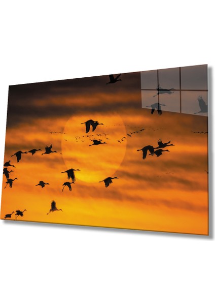 Gün Batımında Kuşlar Cam Tablomiyrem 36X23-MIYREM