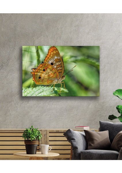 Kelebek Yeşil Cam Tablo 36X23-MIYREM fiyatları
