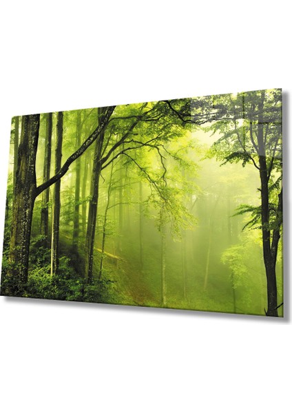 Ağaç Orman Yeşil Manzara Cam Tablo 36X23-MIYREM