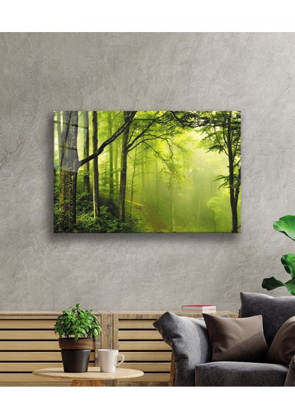 Ağaç Orman Yeşil Manzara Cam Tablo 36X23-MIYREM fiyatları