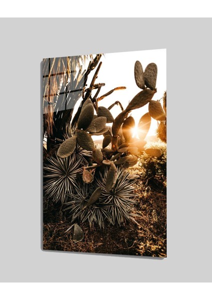 Gün Batımı Işık Cam TABLOMIYREM36X23-MIYREM