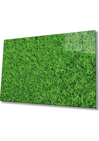 Yeşil Çimen Cam Tablomiyremgreen Grass 36X23-MIYREM