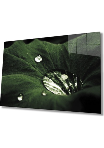 Yeşil Yapraklar Su Damlası Cam Tablo 36X23-MIYREM