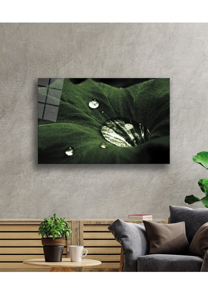 Yeşil Yapraklar Su Damlası Cam Tablo 36X23-MIYREM fiyatları