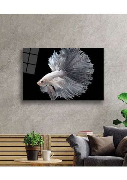 Beyaz Balık Sualtı Cam TABLOMIYREM36X23-MIYREM fiyatları