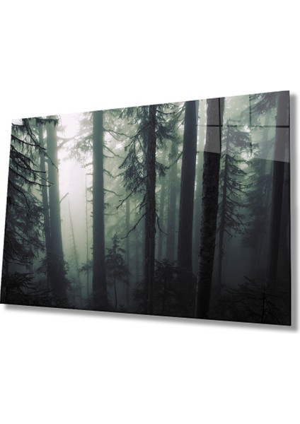 Aşağıdan Yukarı Orman Yeşil Cam Tablo 36X23-MIYREM