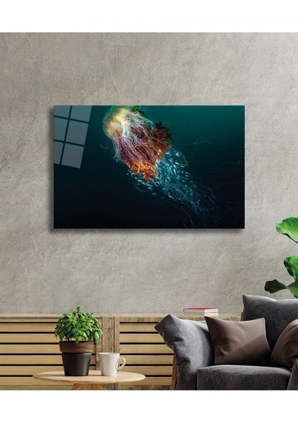 Denizanası Cam Tablo Jellyfish 36X23-MIYREM fiyatları