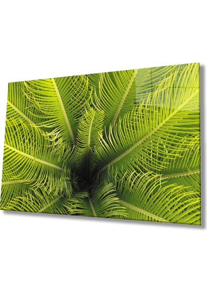 Yeşil Bitkiler Yeşil BITKILERMIYREM36X23-MIYREM