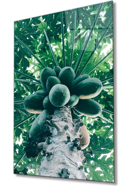 Meyve Cam Tablo Fruits 36X23-MIYREM fiyatları