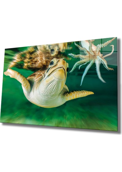 Sualtı Cam Tablo Marine Life 36X23-MIYREM
