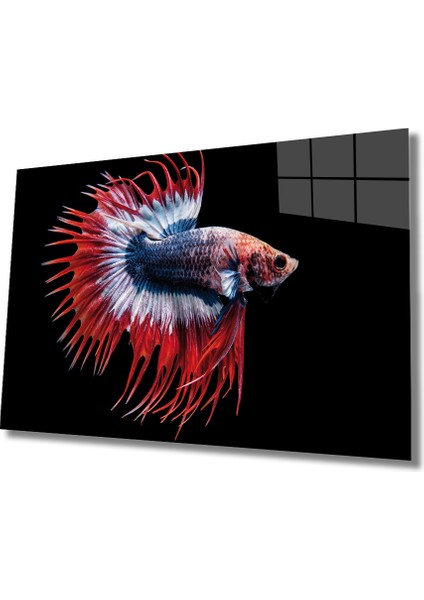 Balık Cam Tablo Fish 36X23-MIYREM