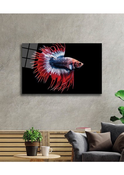 Balık Cam Tablo Fish 36X23-MIYREM fiyatları