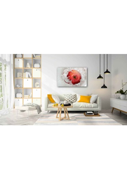 Meyve Cam TABLOMIYREM36X23-MIYREM fiyatları