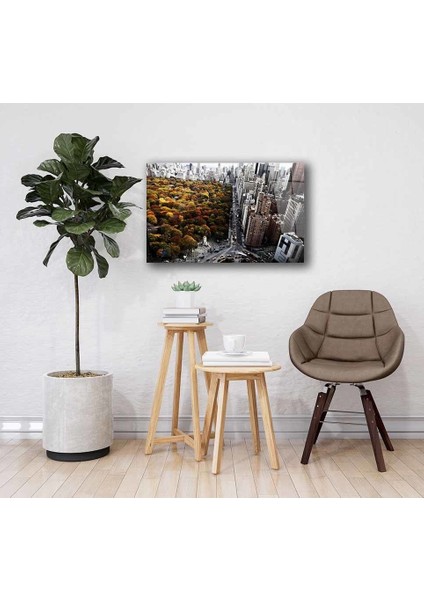 Cam TABLOMIYREM36X23-MIYREM