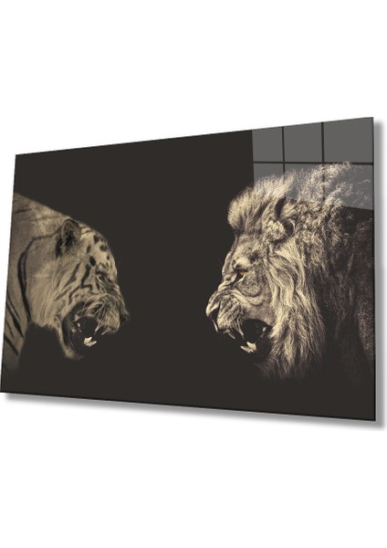 Aslan Cam TABLOMIYREM36X23-MIYREM