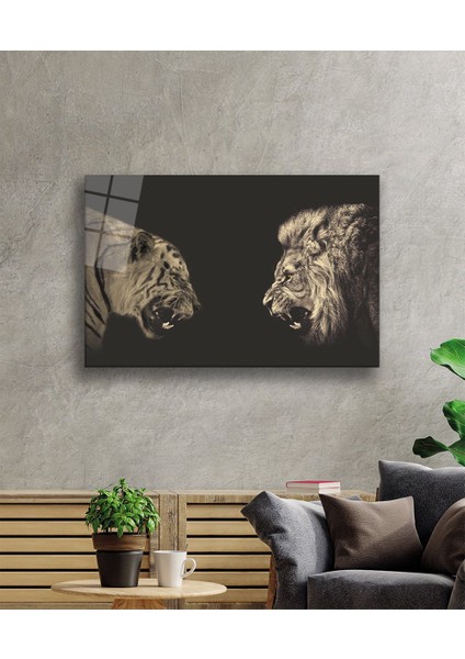 Aslan Cam TABLOMIYREM36X23-MIYREM