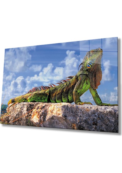 Bukalemon Cam TABLOMIYREM36X23-MIYREM