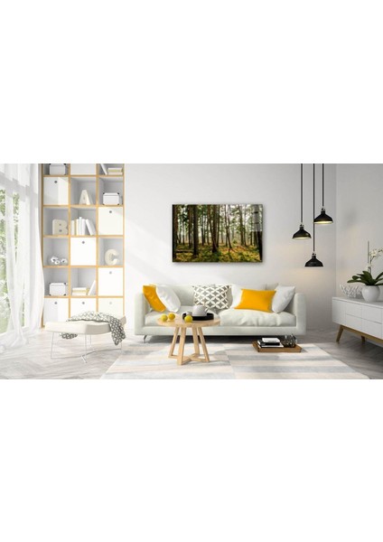 Doğa Cam TABLOMIYREM36X23-MIYREM fiyatları