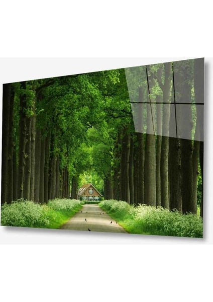 Doğa Cam TABLOMIYREM36X23-MIYREM