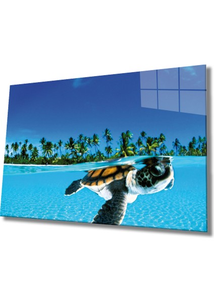 Deniz Kaplumbağası Cam Tablo Sea Turtle 36X23-MIYREM