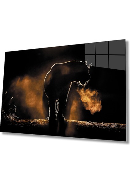 Aslan Cam TABLOMIYREM36X23-MIYREM