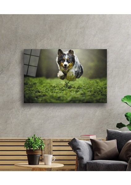 Kurt Köpeği Cam TABLOMIYREM36X23-MIYREM fiyatları