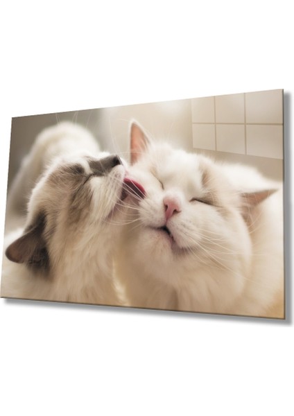 Kedi Cam TABLOMIYREM36X23-MIYREM