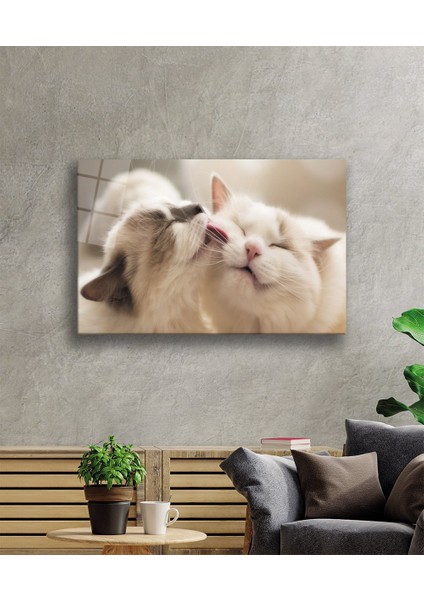 Kedi Cam TABLOMIYREM36X23-MIYREM fiyatları