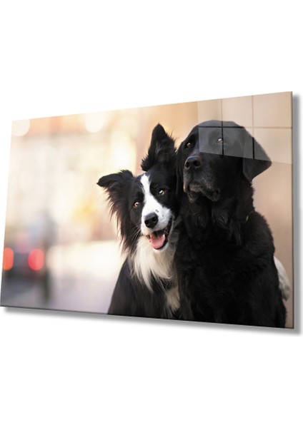 Siyah Beyaz Köpek Cam TABLOMIYREM36X23-MIYREM