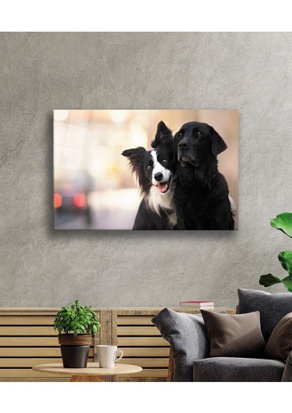 Siyah Beyaz Köpek Cam TABLOMIYREM36X23-MIYREM fiyatları