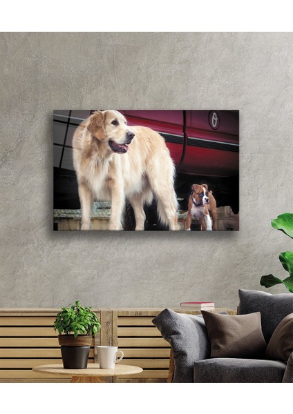 Köpek Cam TABLOMIYREM36X23-MIYREM