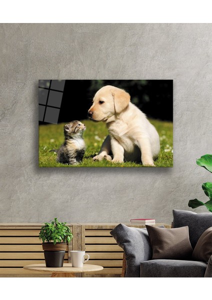 Kedi ve Köpek Cam TABLOMIYREM36X23-MIYREM