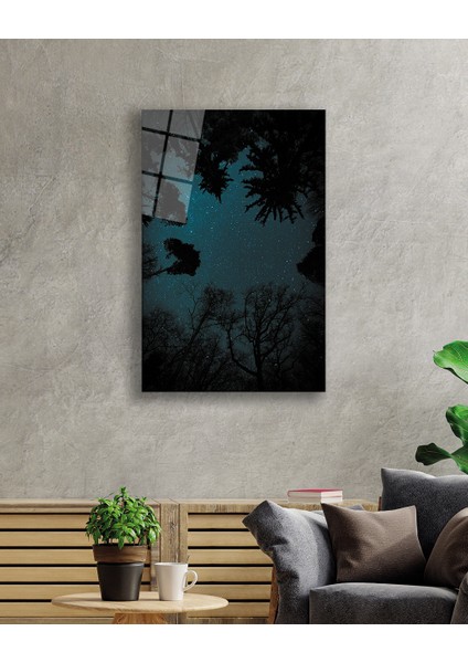 Aşağıdan Yukarı Doğru Ağaçlar Cam Tablo 36X23-MIYREM