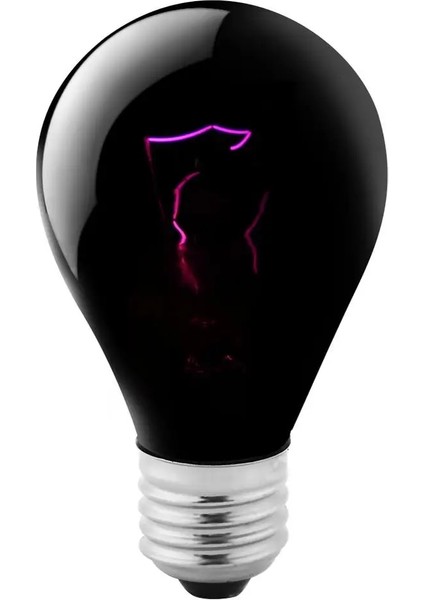 60W Tarzı Mini Kızılötesi Seramik Verici Isı Ampul Siyah Gece Isı Işık Lambası Sürüngen Amfibi Brooder Lamba Için Isıtma Ampul (Yurt Dışından)