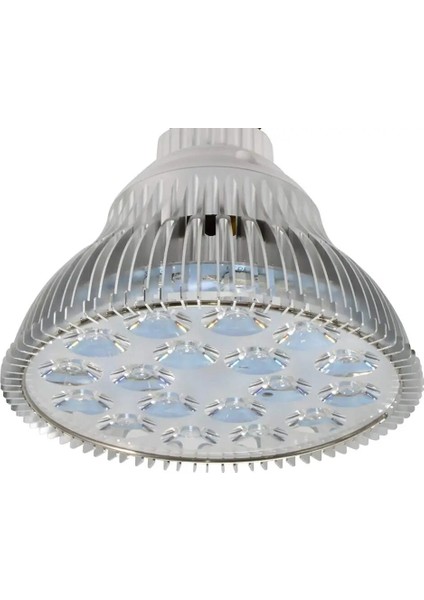 Yalnızca Abd Fiş Stili Tutucusu 54W LED Akvaryum Işık Klip Lamba Balık Büyümek Beyaz Mavi Yeşil Renkli Aydınlatma Deniz Mercan Resifi Tuzlu Su Kaplumbağası Için Ab Tak (Yurt Dışından)