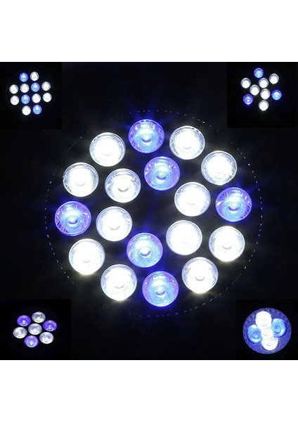 15W Tarzı LED Akvaryum Ampul Tam Spektrum PAR38 E27 Küçük Nano Mercan Resifi Balık Tankı ve Pico Akvaryumları Aydınlatmak Için (Yurt Dışından) fiyatları