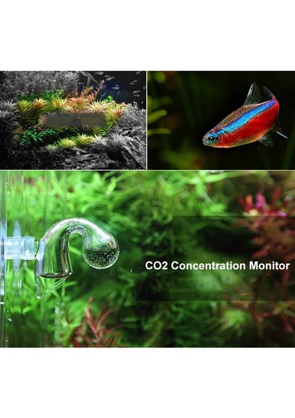 Monitör ve Akıcı Stil Co2 Balık Tankı Diffüz Cam Damla Denetleyicisi Co2 Monitör Için Cam Damla Denetleyicisi Ph Uzun Vadeli Gösterge Monitör Test Cihazı (Yurt Dışından) indirimleri