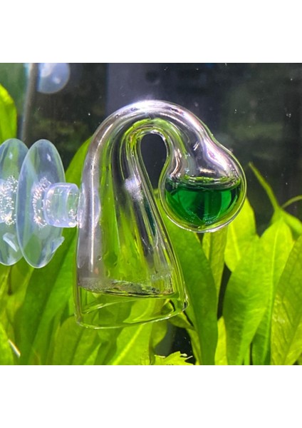 Bütün Set Stili Aquatic Co2 Damla Cam Denetleyicisi Akvaryum Tesisi Için Karbon Dioksit Cam Monitör Balık Tankı Testi Co2 Kiti (Yurt Dışından) modelleri