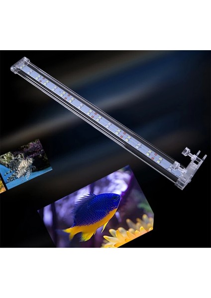 6W Tarzı Kristal Akvaryum Işığı Balık Tankı Klipsli Işık Lambası Bitkiler LED Işıkları Akvaryum Aydınlatma cm Ab Fişi (Yurt Dışından) modelleri