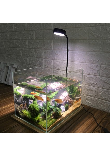 M Tarzı 10W Minyatür Peyzaj USB Ahşap Tahta Balık Tankı ile Powered Akvaryum LED Işık Saksı Bitkileri USB Powered Su Geçirmez Ayarlanabilir (Yurt Dışından)