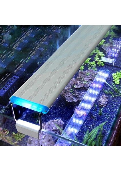 W40 Stili Akvaryum LED Işık Süper Ince Balık Tankı Su Bitkileri Aydınlatma Büyümek Su Geçirmez Parlak Klip Lamba Bitkiler Için Mavi LED cm 220V (Yurt Dışından)